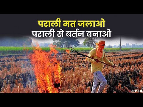पराली जलाने से क्यों हो रहा है दिल्ली में प्रदूषण, इसे जलाने के अलावा और क्या कर सकते हैं