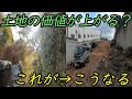 【特殊伐採】利用していない土地を、利用できる土地に！