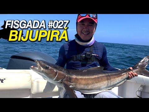 Fisgada #027 | BIJUPIRÁ / COBIA TOPWATTER