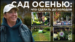 картинка: Что делать в саду осенью: от полива до обрезки | Чек-лист работ