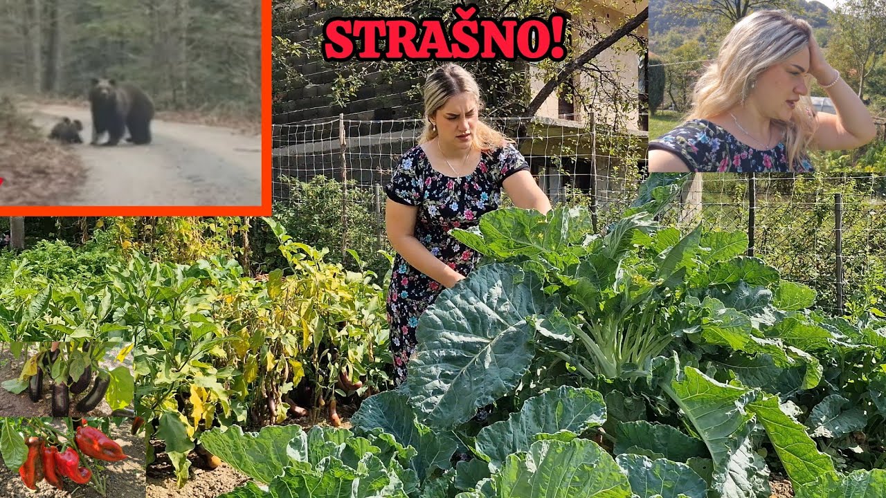 U STRAHU SMO, MEDVJED PRED KUĆU DOŠAO❗️bašta buja opet