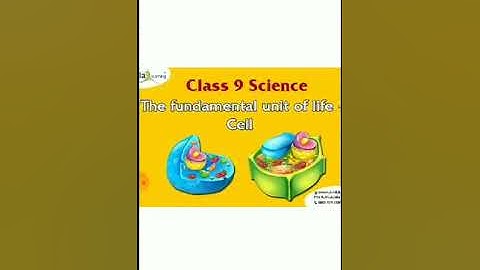 ClassIX Science 04 -04-2020 by Mrs Mridulata Upadhyay.mp4