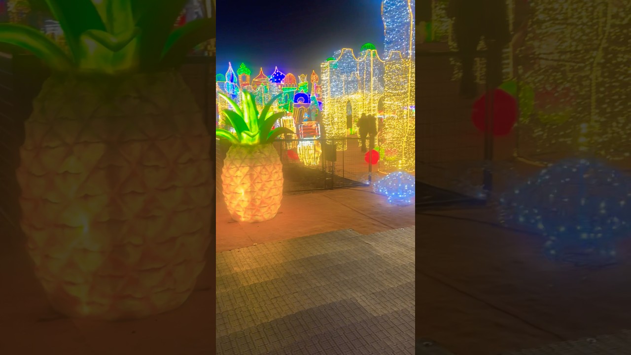 The Canadian Agrabah ✨