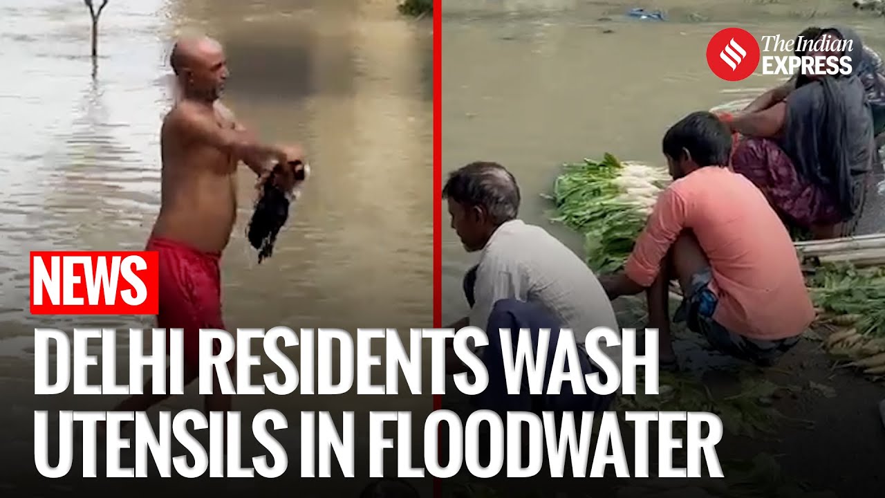 Ground Report: People Wash Clothes, Vegetables, Utensils In Yamuna Flood Water