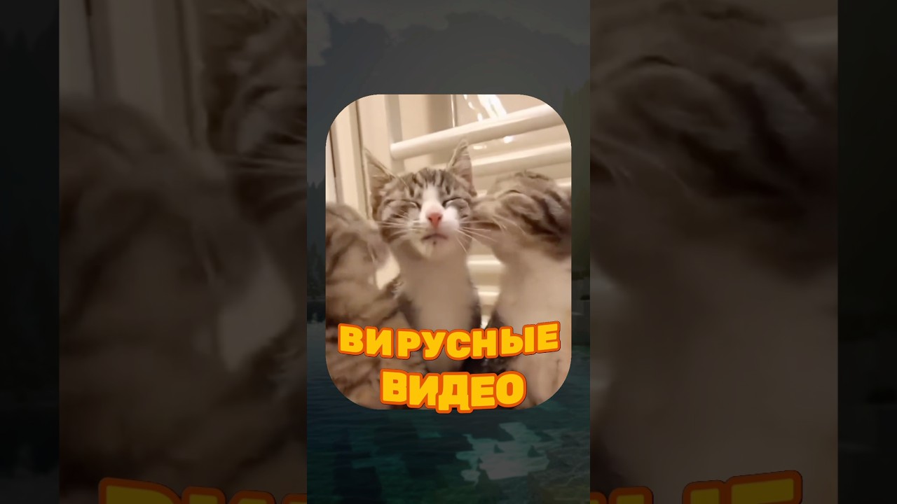 ВИРУСНЫЕ ВИДЕО / Обезьяна становится человеком