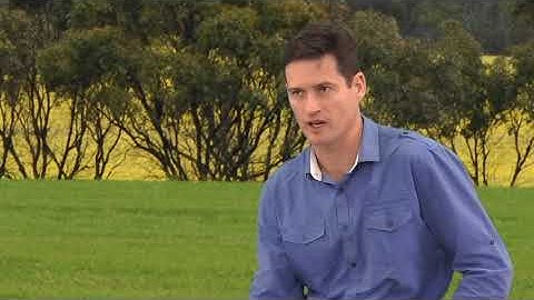 Soil compaction: the essentials