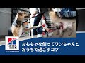 おもちゃを使ってワンちゃんとおうちで過ごすコツ