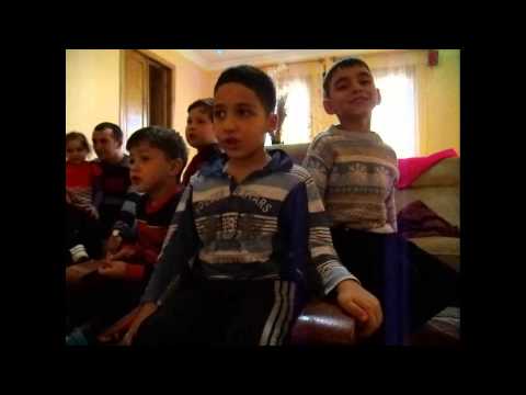 video krebuli  ვიდეო კრებული