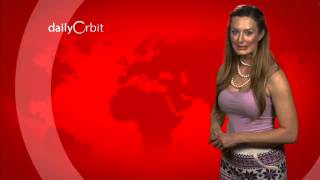 Famous Hunt Is On To Rid The Everglades Of Invasive Pythons - The Daily Orbit Wealth