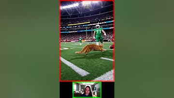 How would you name this Cat Story ? 😽 #funnycats #catai #shorts #catstory