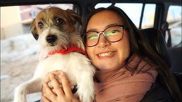 Vlog//7 -  Happy first advent