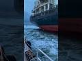 Crossing the North Sea is a real challenge for sailors ⚓ #northsea #shorts #roughsea #ship