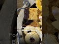 Stop Eating This Daily