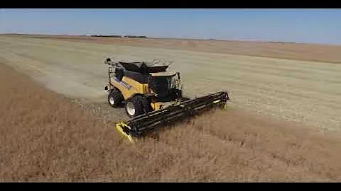 Qual a agricultura do Canadá?