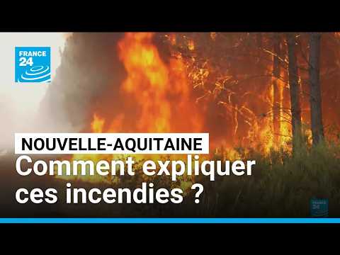 Nouvelle-Aquitaine : pourquoi les incendies se répètent-ils ? • FRANCE 24