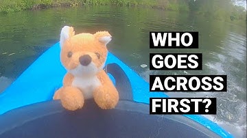 How to solve the Fox, Chicken and Grain Puzzle