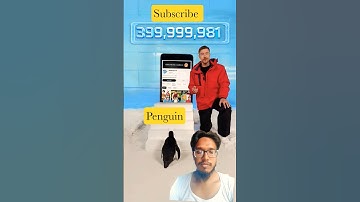 Can I Teach a panguin To subscribe #mrbeast #subscribe #shorts #shortvideo