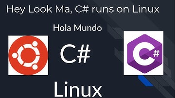 Hola Mundo C# Linux 🐧 .NET Core 3.1 y  Ubuntu 19.10