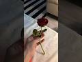 Crochet rose 🌹