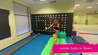 Needle Scale on Beam