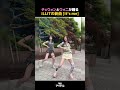[チェウォン]と[ウォニ]が踊る ILLITの新曲 [It's me] #アイリット
