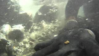 Gold Nugget found Sniping Bedrock Cracks.