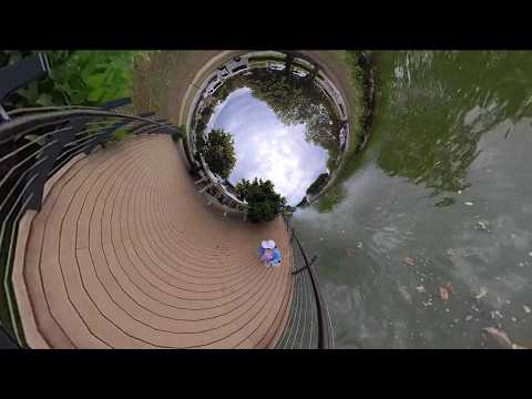 Inverted Tiny Planet #insta360 #x3