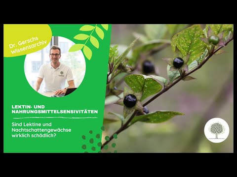 Sind Lektine und Nachtschattengewächse wirklich schädlich?