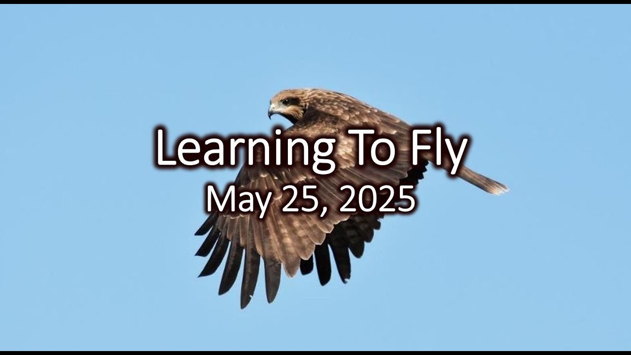 “Learning to Fly and Other Imaginings”, May 25, 2025