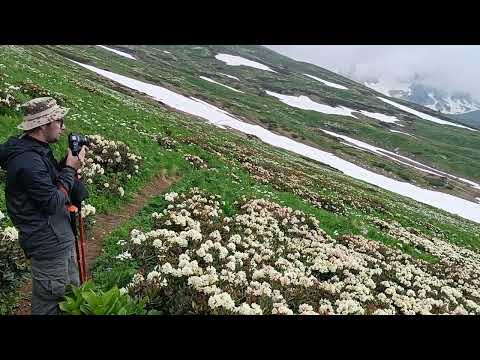 Видео: Путешествие по плато Лаго-Наки.