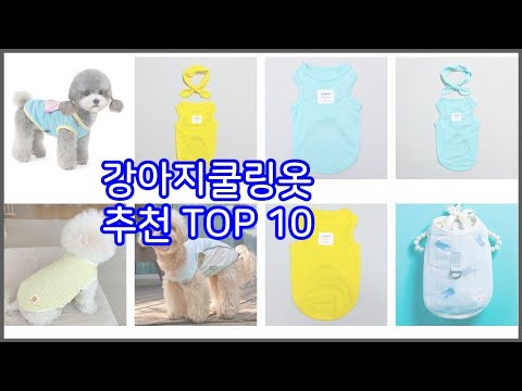 강아지쿨링옷 추천 베스트 가성비 최고! 가격과 품질, 구매량까지 고려한 상품 10가지