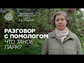 Разговор с помологом. Что такое парк?