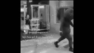 Sürpriz Yaparken Aldatılan Ayı