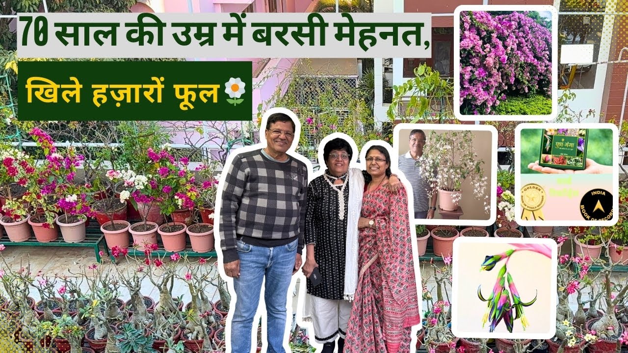 70 साल की उम्र में बरसी मेहनत, खिले हज़ारों फूल 🌼