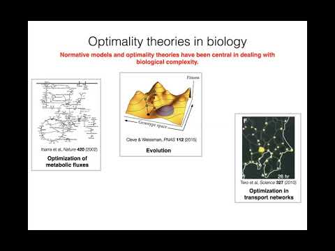 Spanning the arc between optimality theories and data recording thumbnail