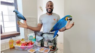 How I Feed My African Greys! | A Guide to a Diverse and Nutritious Diet!