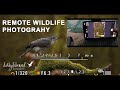 Remote wildlife photography