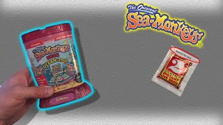 Sea Monkeys Neon Ocean Zoo Day 2 and Sea-Monkey collection!