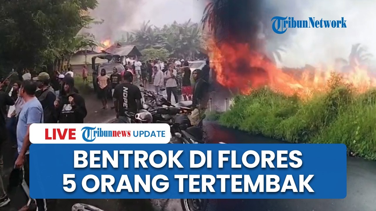 🔴LIVE: Korban Bentrokan di Adonara Timur NTT Bertambah, 5 Orang Alami Luka Tembak Senjata Rakitan