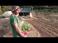 Young farmer in kayapes  kapangan benguet