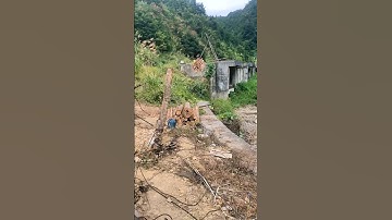 Use cableway to transport wood on the mountain