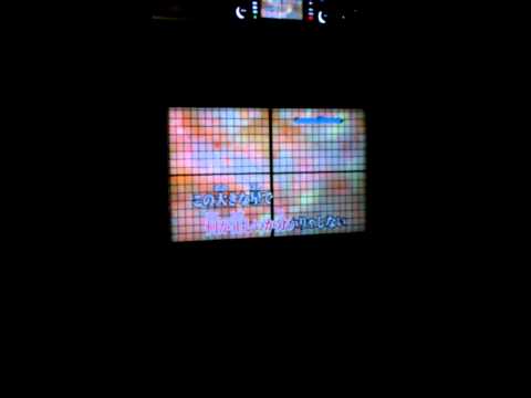 桜前線異常ナシ