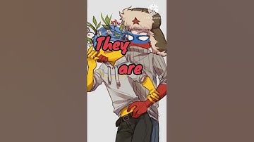 Thumbnail of || Ship I Hate || I don't care about hate ||#countryhuman #fyp #short