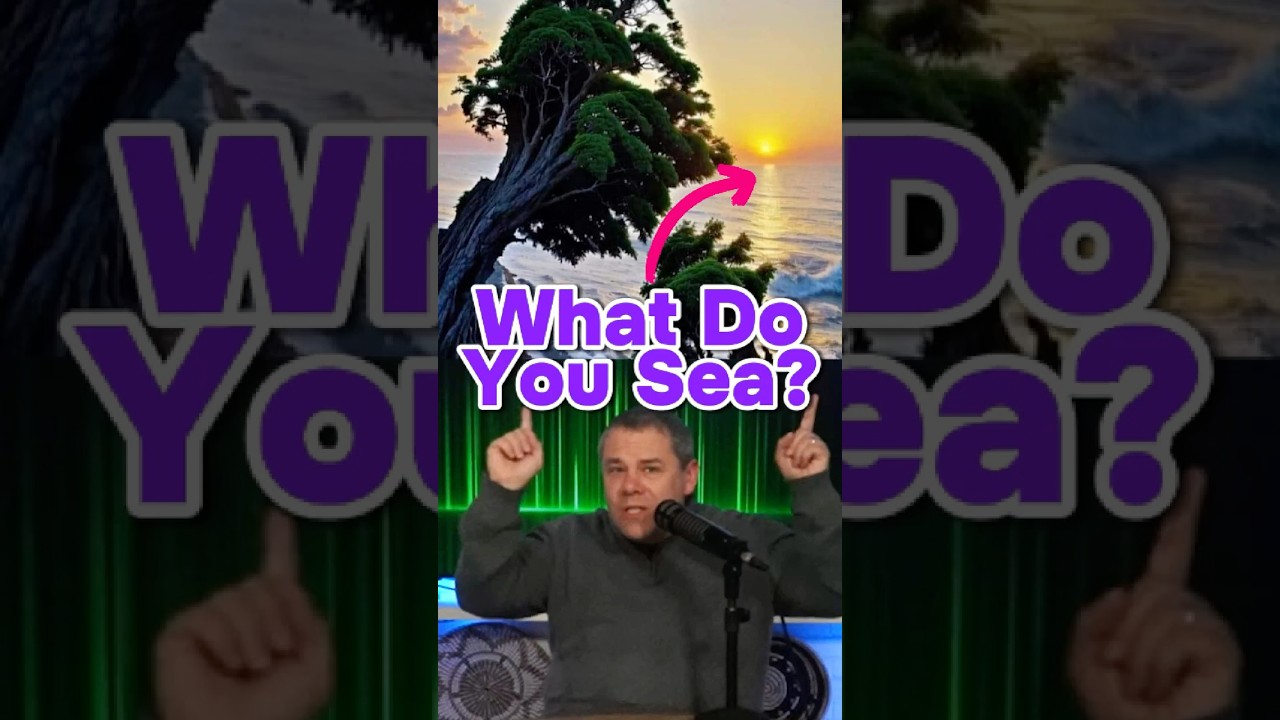 What Do You Sea? 