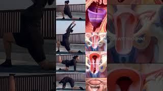 Yoga for pcod pcos fibroid #pcod #pcos #fibroid #fibroid #weightloss #periods