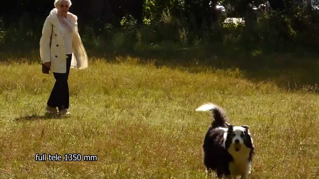 Boekenberg Park filmed with Panasonic Lumix DMC-FZ72 - 60x zoom videotest