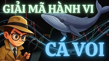 🔍🐋Truy vết cá voi: Giải mã hành vi cá voi — 12 tín hiệu chuyển pha & đảo chiều dòng tiền thị trường🚨