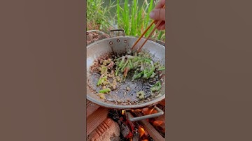 Tôm Rừng Tây Nguyên #chefsuoi47 #shorts #Ròm47