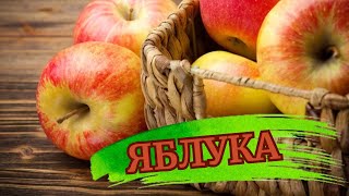 💥🔥ЦІКАВІ ФАКТИ ПРО ЯБЛУКА #цікавіфакти #цікаванаука #цікаве