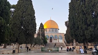 15.10.2025 أذان و صلاة المغرب من المسجد الأقصى المبارك Adhan and Maghrib prayer from Al-Aqsa Mosque